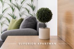 superior17